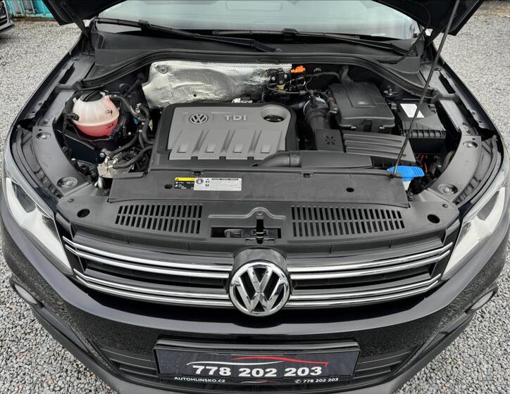 Volkswagen Tiguan 19