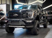 Ford F-150 1