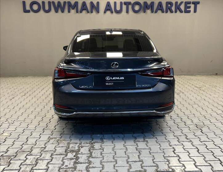 Lexus ES 300h 12