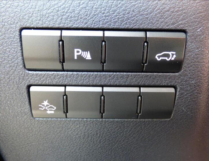 Lexus NX 300h 15