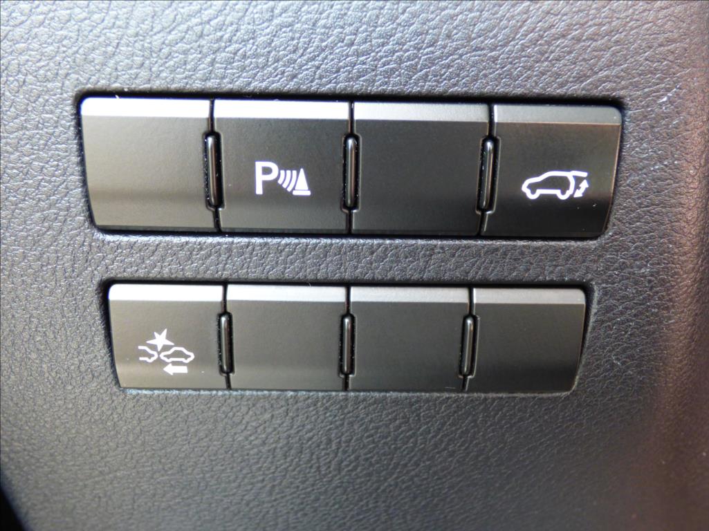 Lexus NX 300h