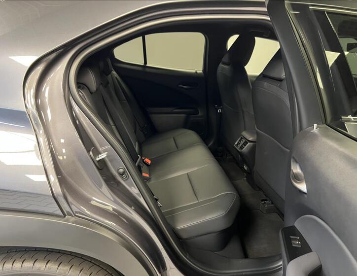 Lexus UX 300h 10