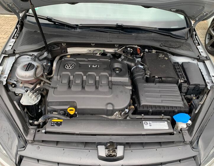 Volkswagen Golf 24