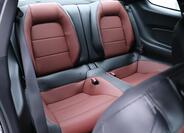 Ford Mustang 15