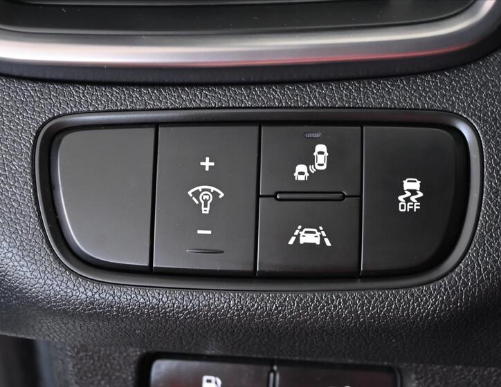 KIA Sorento 30