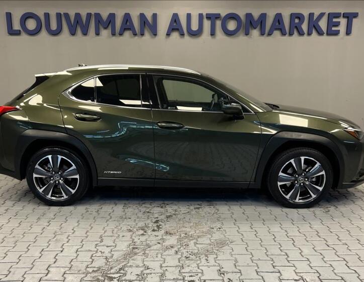 Lexus UX 250h 14