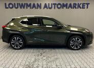 Lexus UX 250h 14