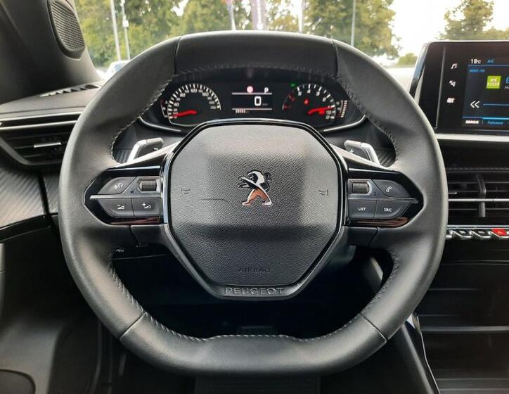 Peugeot 2008 17