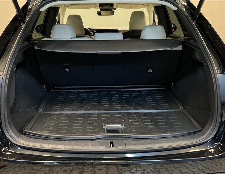 Lexus RX 450h plus 9