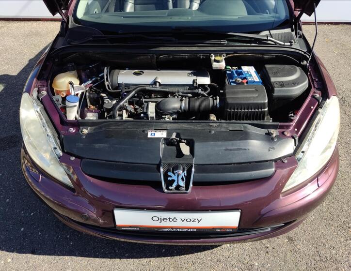 Peugeot 307 20