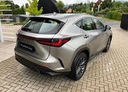Lexus NX 350h 6
