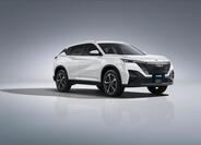 Dongfeng Ostatní 1