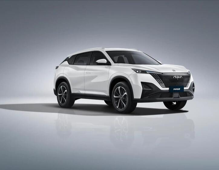 Dongfeng Ostatní 1
