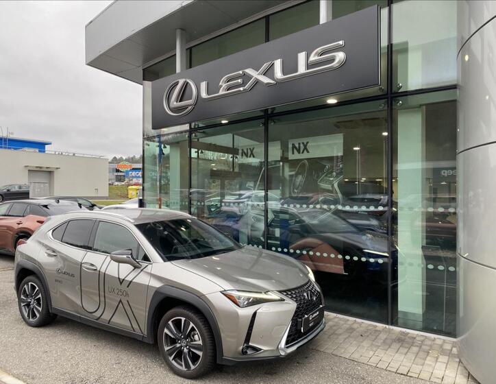 Lexus UX 250h 7