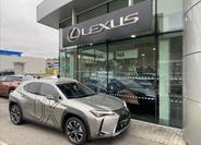 Lexus UX 250h 7