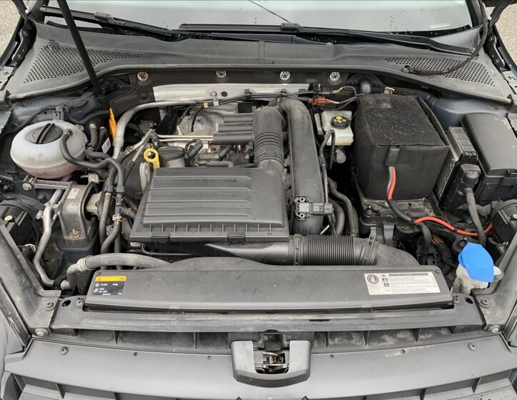 Volkswagen Golf 24
