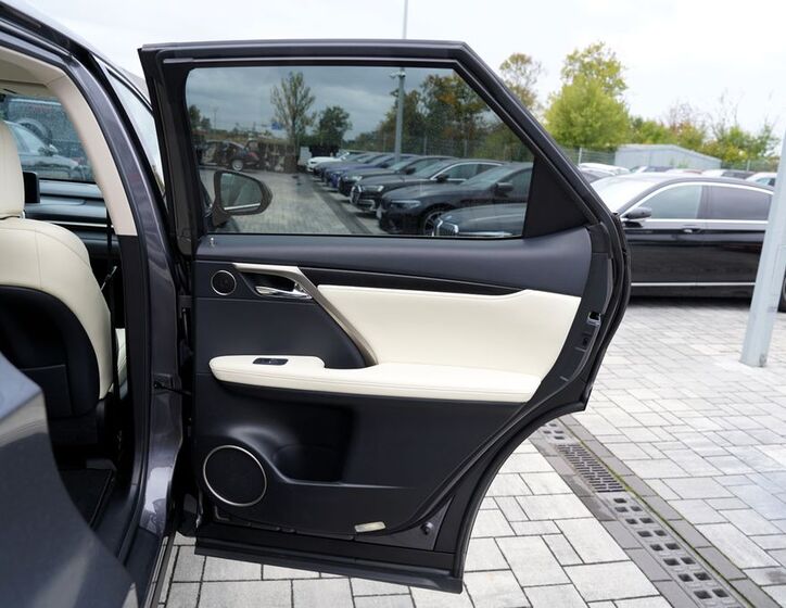 Lexus RX 450 19