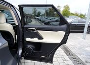 Lexus RX 450 19