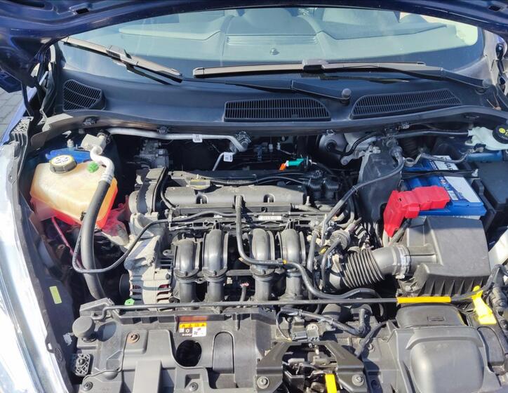 Ford Fiesta 13