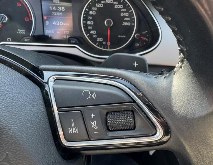 Audi A4 Allroad 19