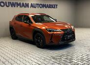 Lexus UX 250h 11