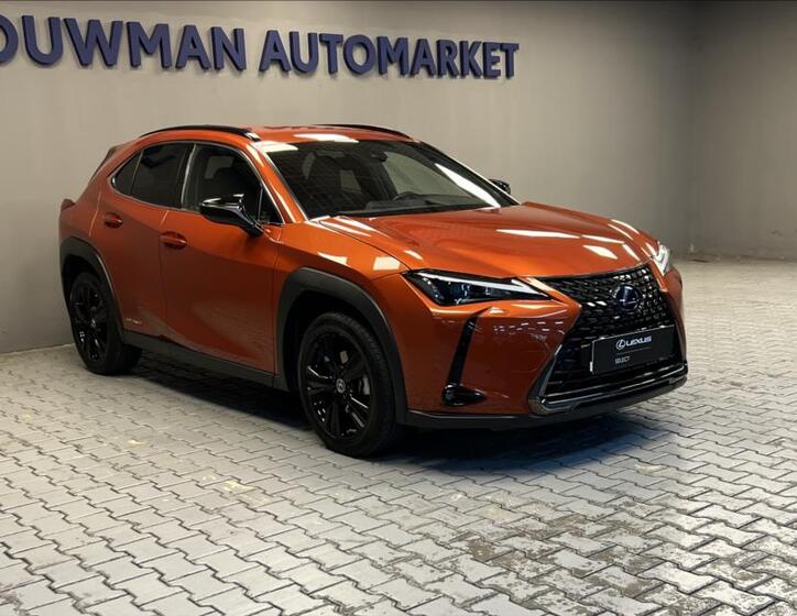 Lexus UX 250h 11