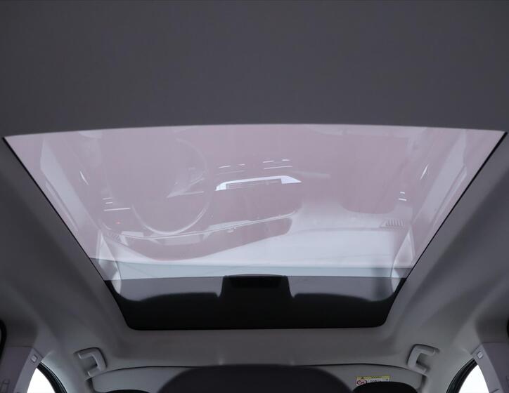 Ford Tourneo Connect 26
