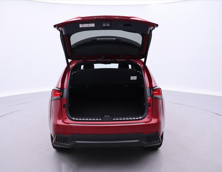Lexus NX 300h 9