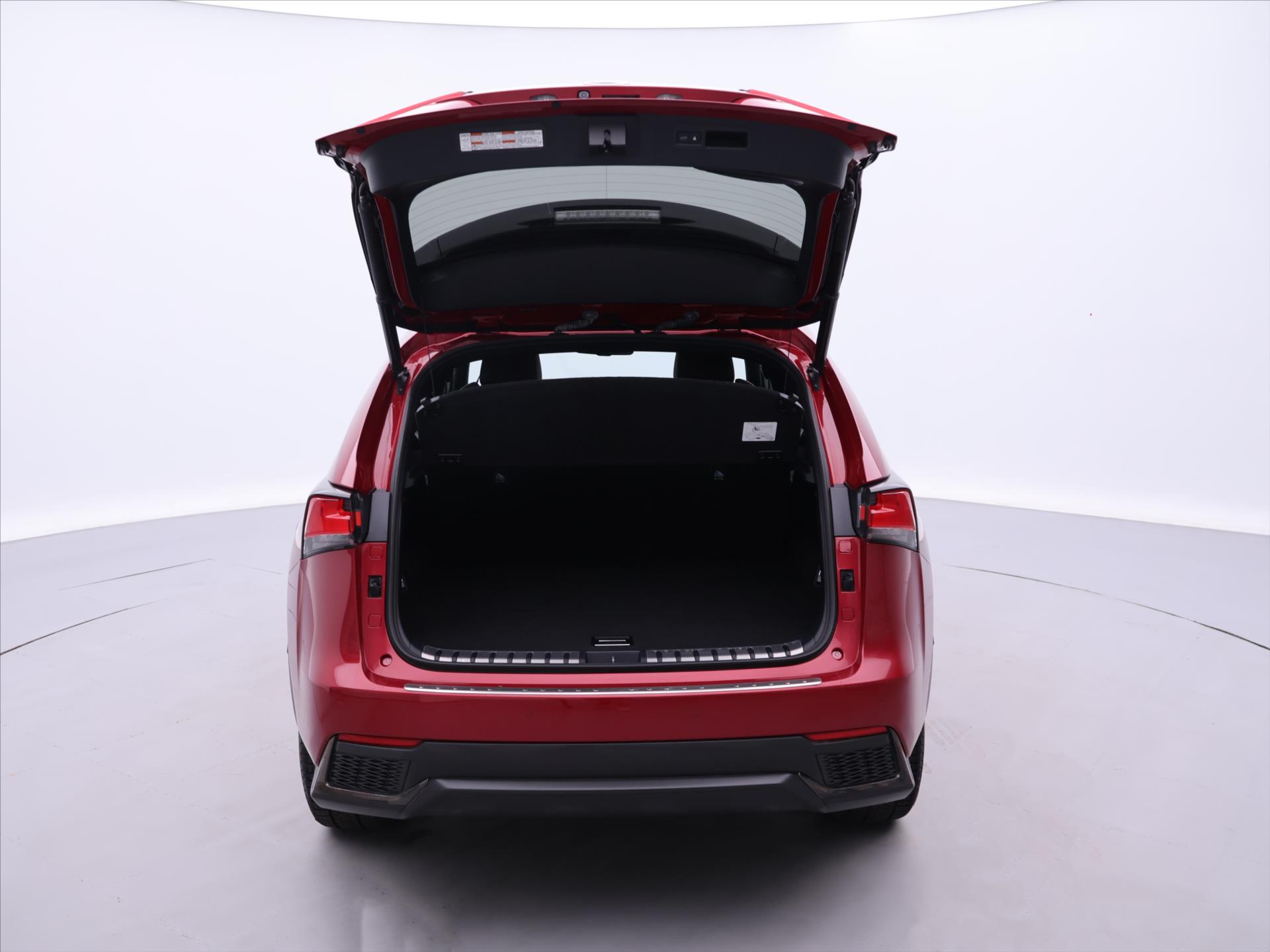 Lexus NX 300h