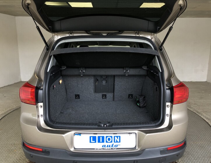 Volkswagen Tiguan 13