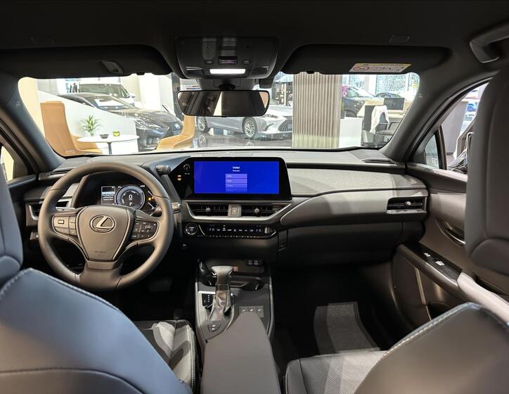 Lexus UX 250h 19