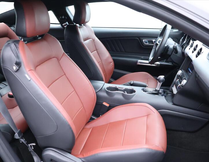 Ford Mustang 14