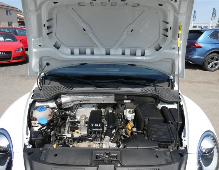 Volkswagen Beetle 34