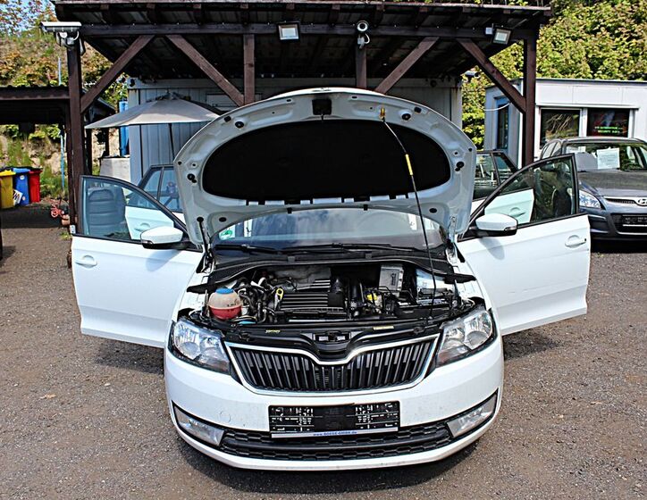 Škoda Rapid 27