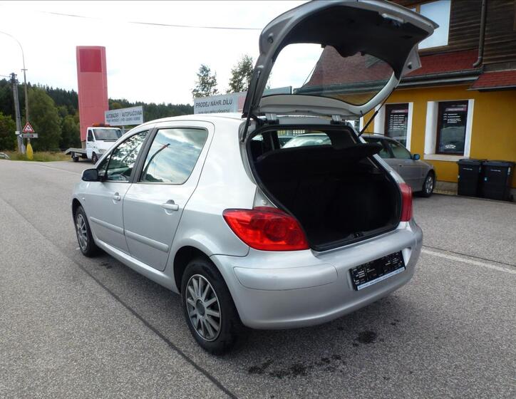 Peugeot 307 20