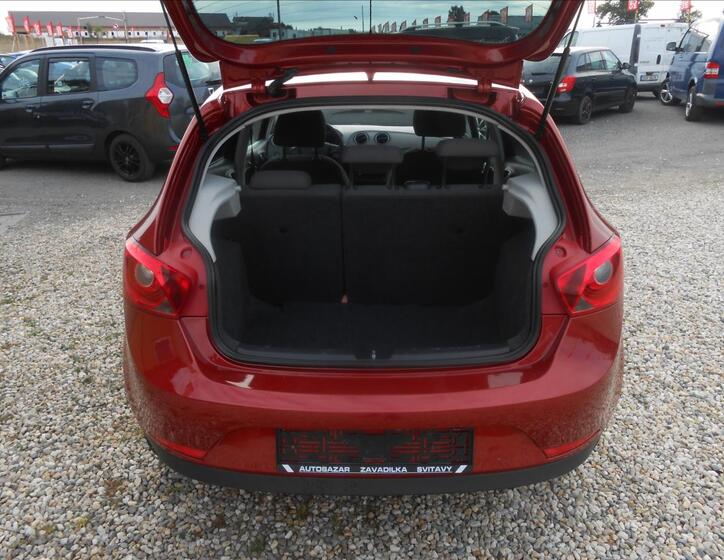Seat Ibiza 17