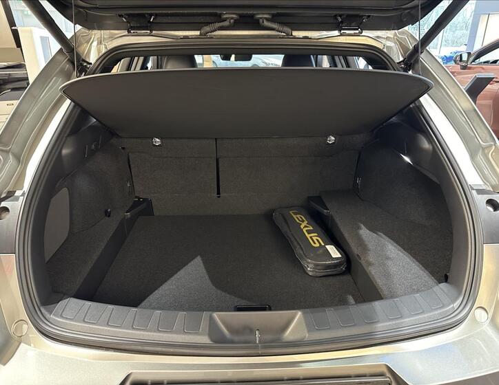 Lexus UX 250h 17