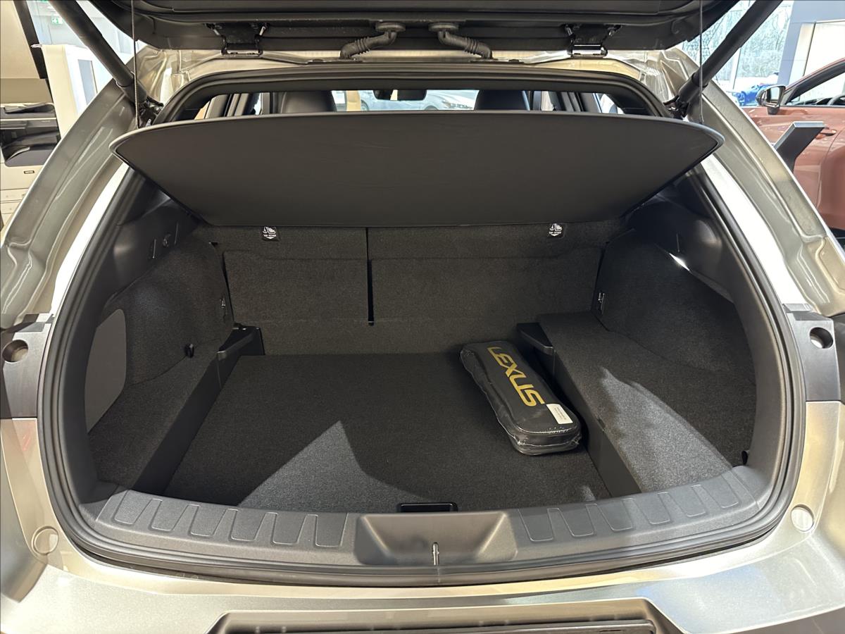 Lexus UX 250h