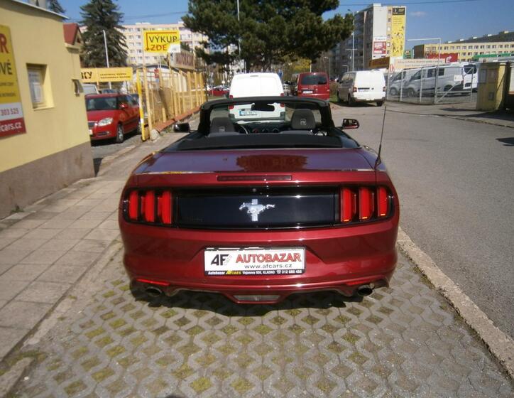 Ford Mustang 13