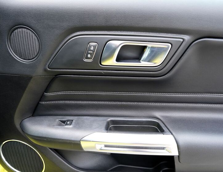 Ford Mustang 19
