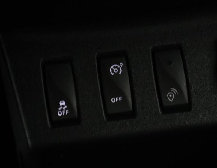 Dacia Spring 26