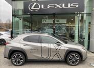 Lexus UX 250h 6