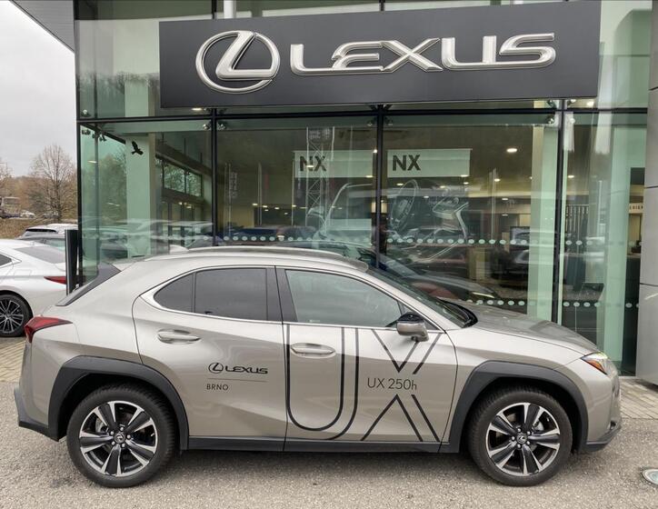 Lexus UX 250h 6