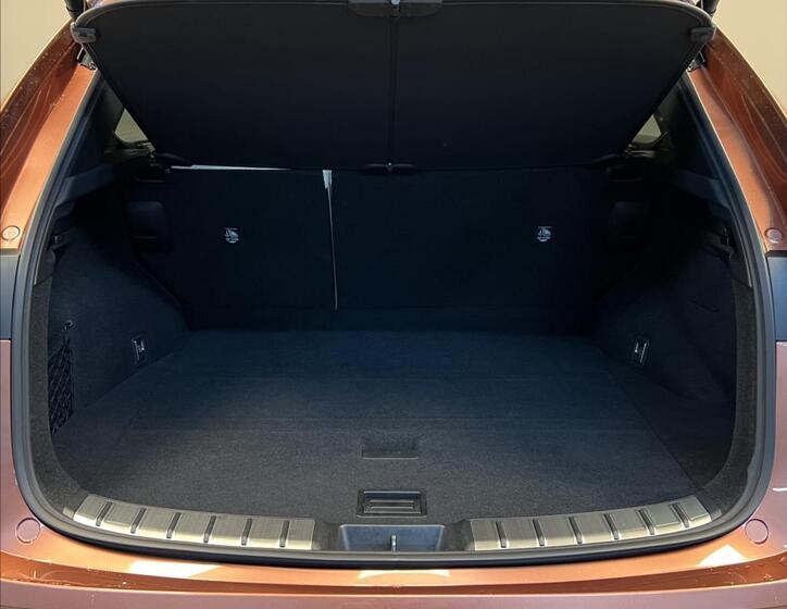 Lexus NX 450h plus 9