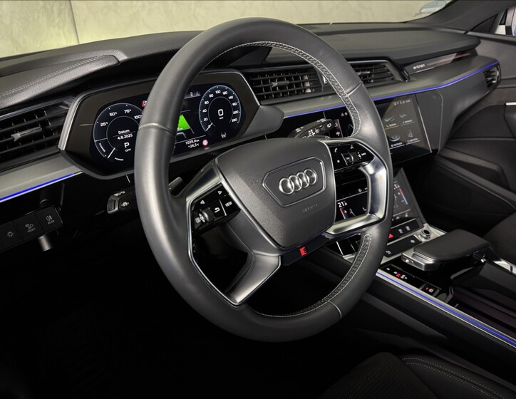 Audi e-tron 29