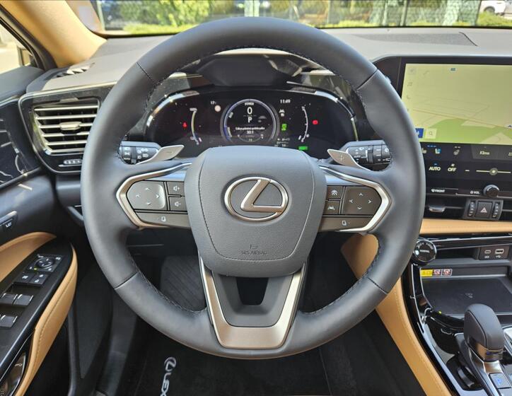 Lexus NX 450h plus 17