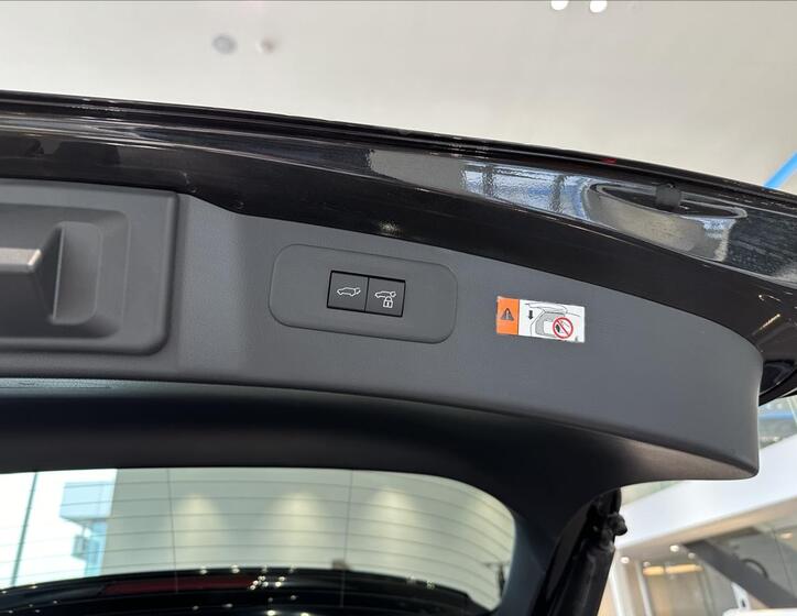 Lexus NX 450h plus 19