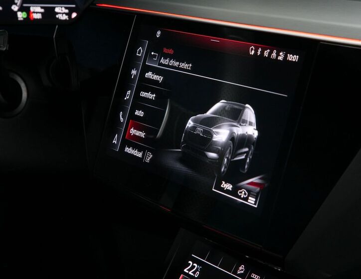 Audi e-tron 29