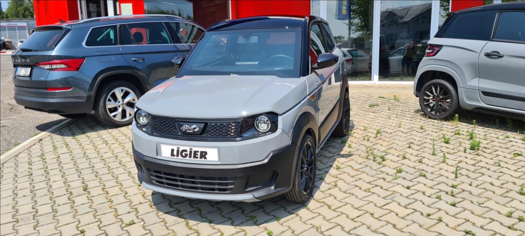 Ligier Ostatní