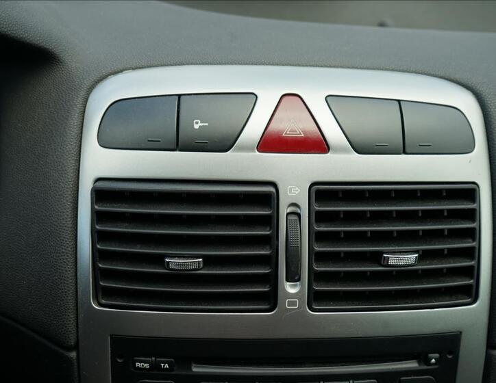 Peugeot 307 13